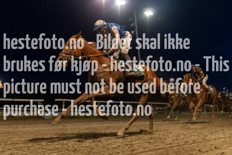 20231005-191636-YNE00268