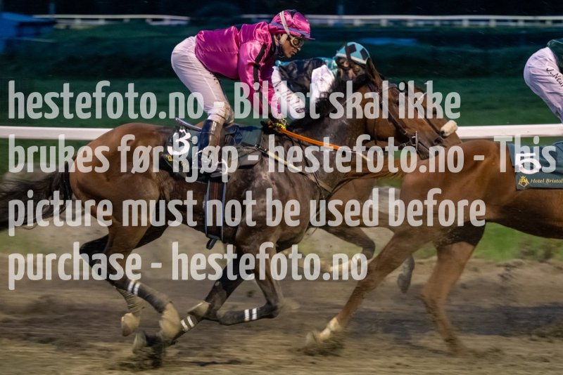 20231005-190101-DSC_0569