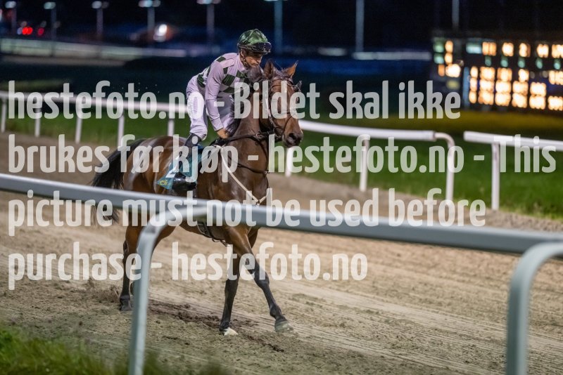 20231005-192026-DSC_0946