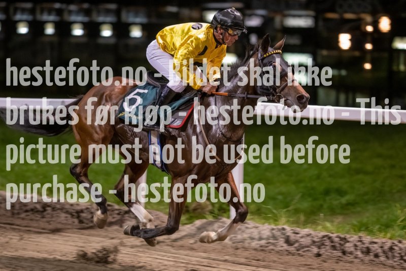 20231005-195156-DSC_1497