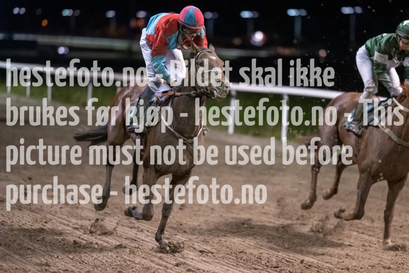 20231005-204312-DSC_2683