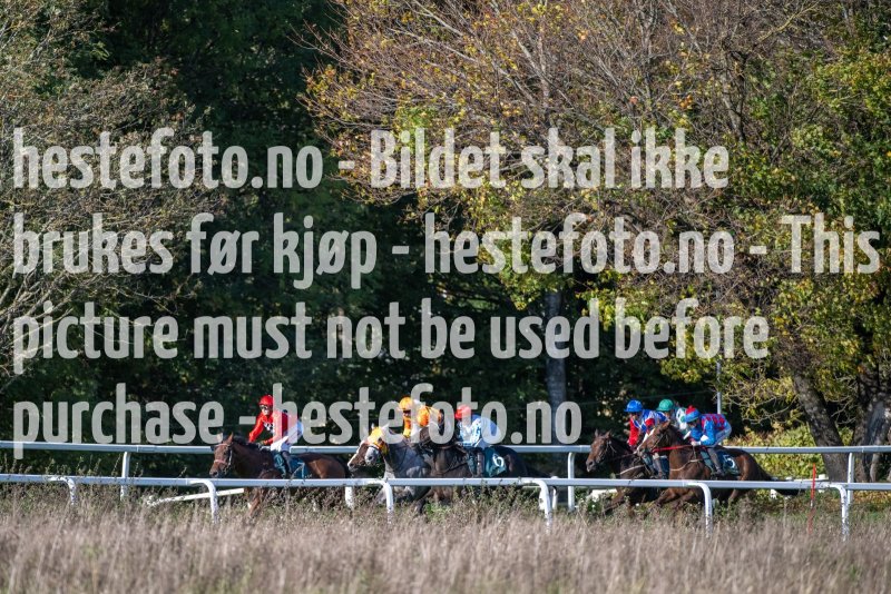 20231011-142926-DSC_4108