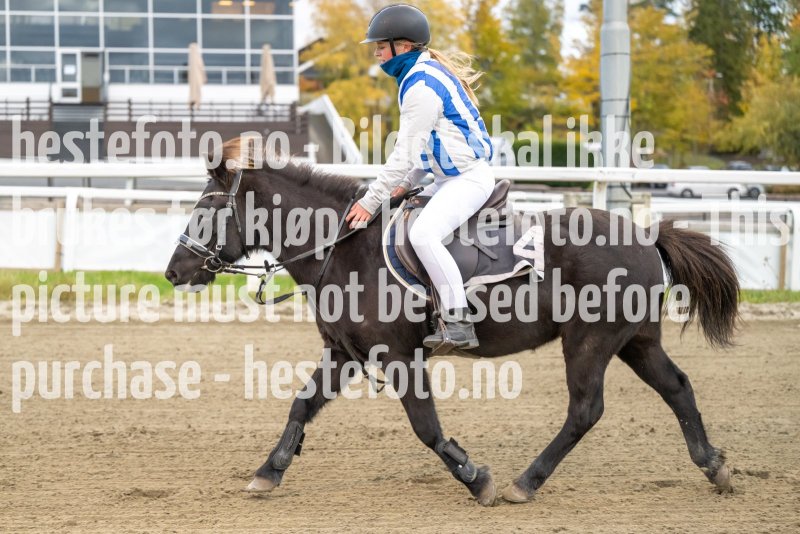 20231019-172805-DSC_1271