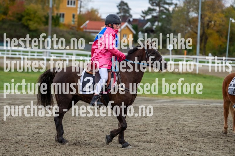 20231019-171507-DSC_2769