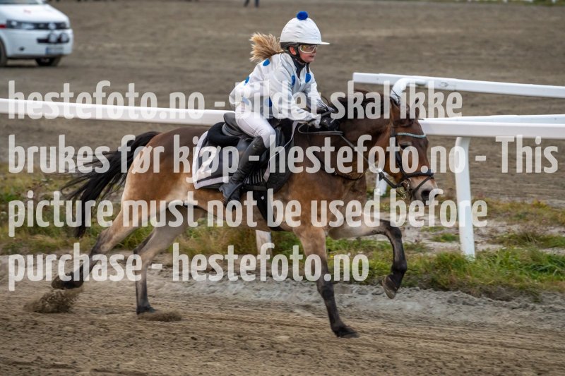 20231019-172634-DSC_2891