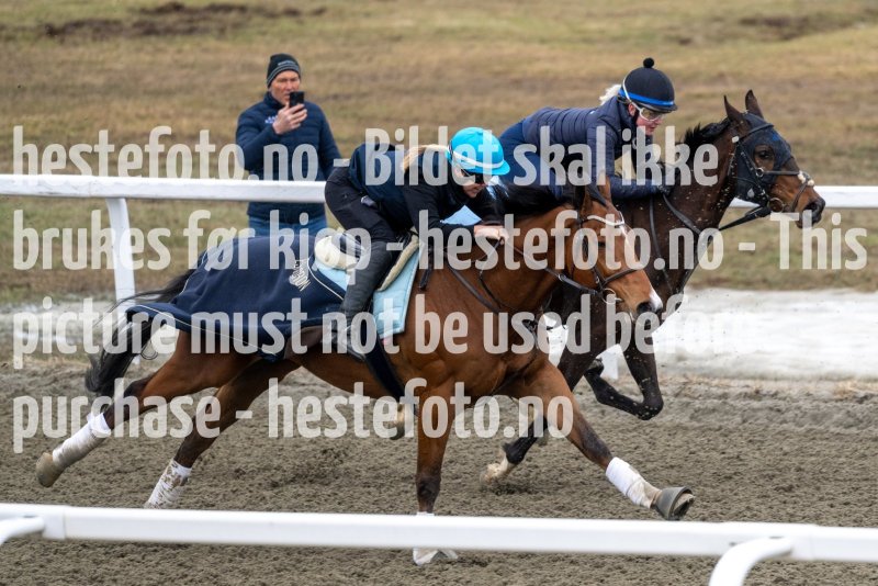 20230416-093341-DSC_9975