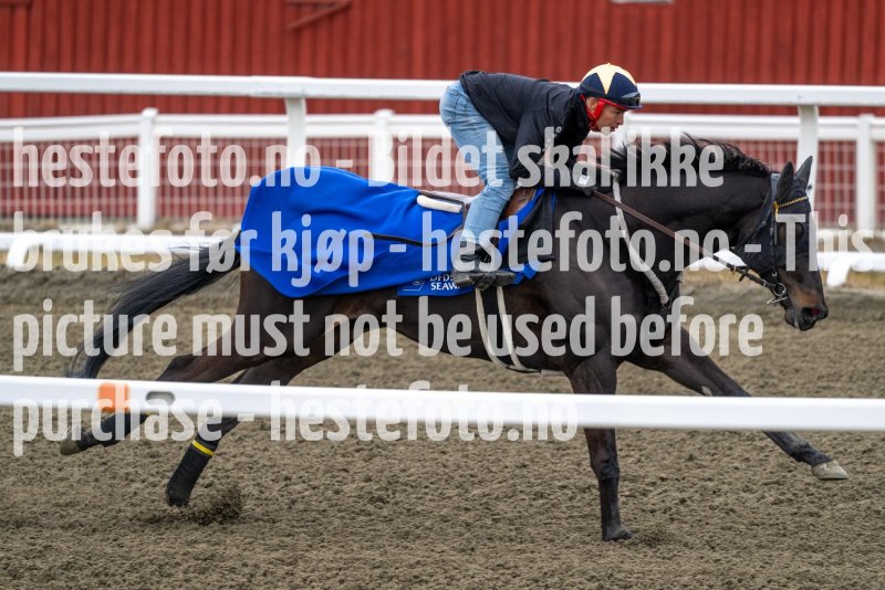 20230416-121720-DSC_0724