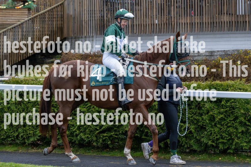 20231105-140238-DSC_2844-2