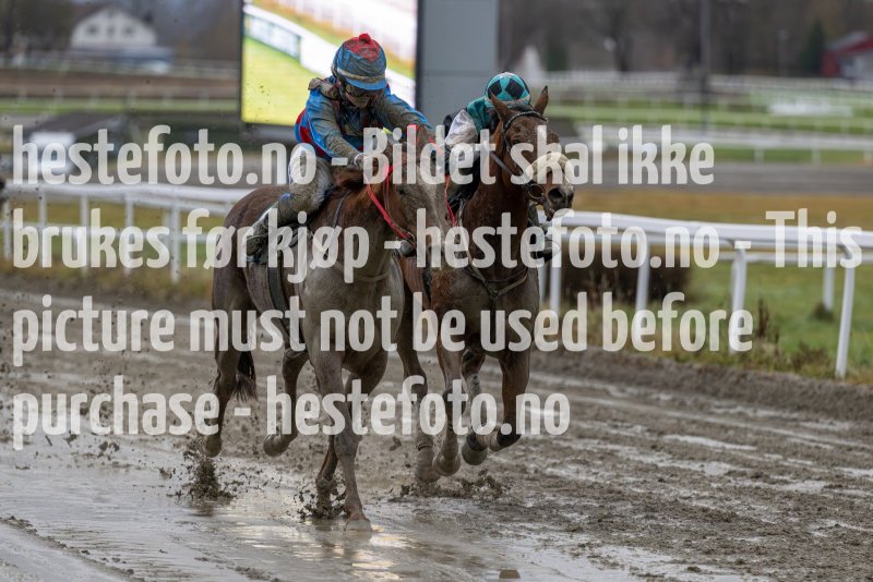 20231105-150408-DSC_5583-2