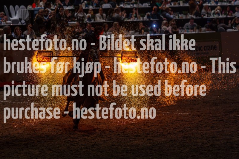 20231014-175632-DSC4210