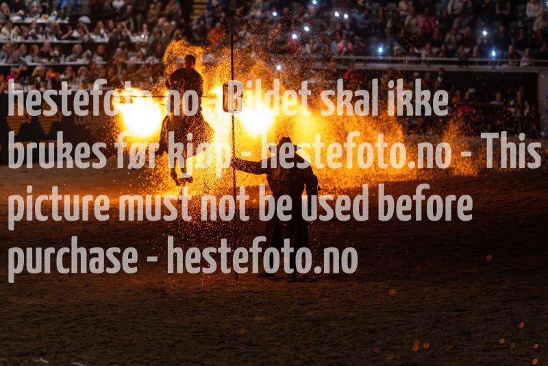 20231014-175637-DSC4230