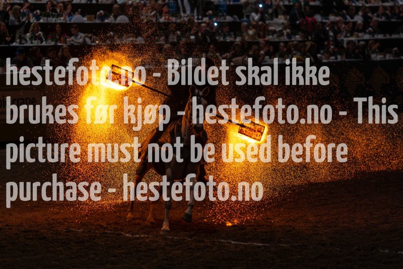20231014-175640-DSC4234