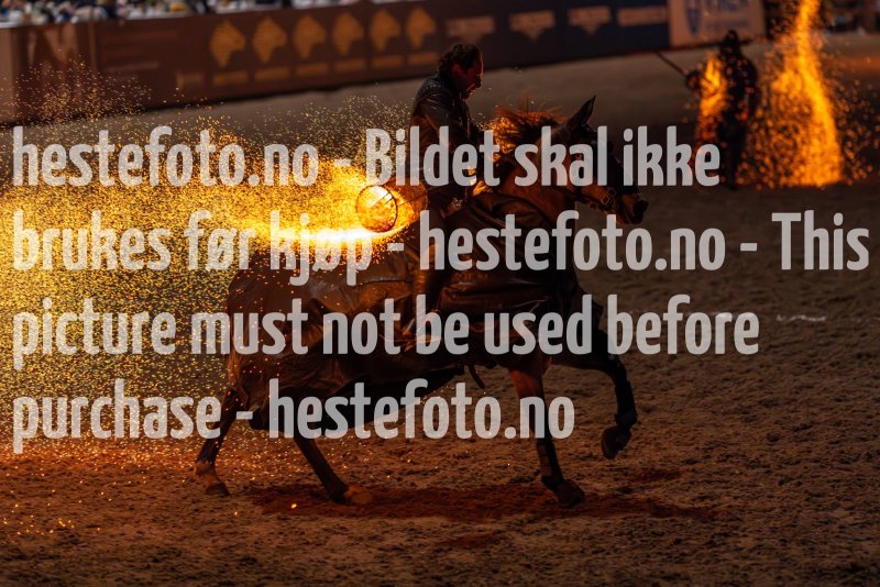 20231014-175634-DSC4221