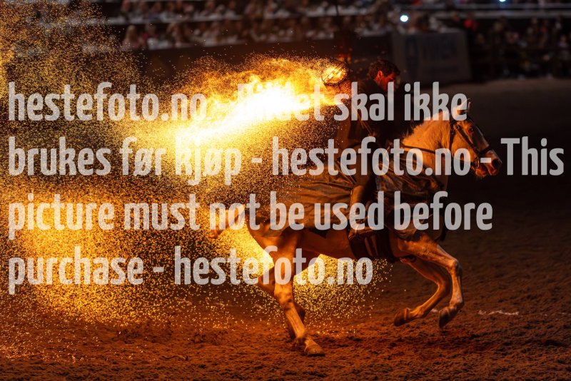 20231014-175642-DSC4239