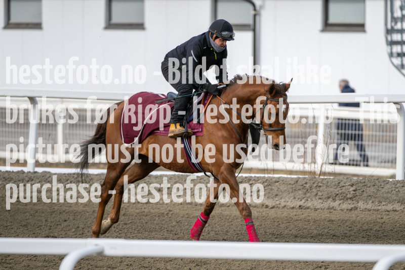 20240323-105243-DSC_1968