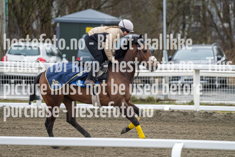 20240413-083604-DSC_0357