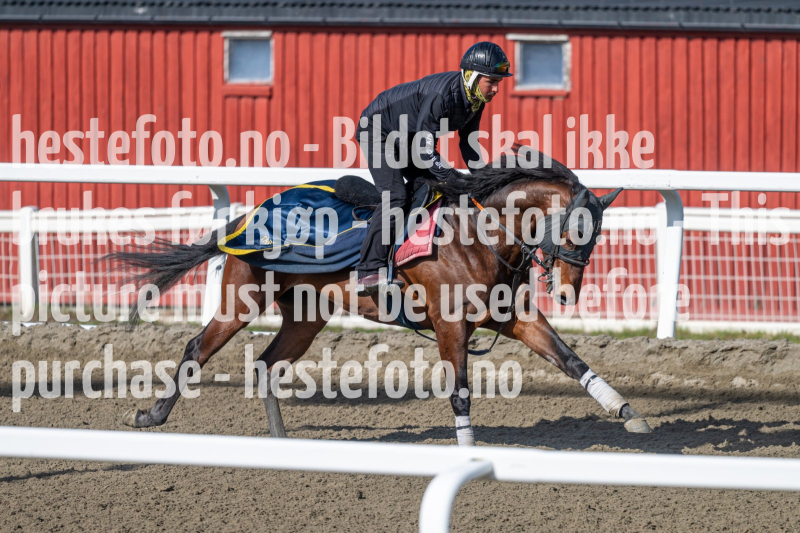 20240413-110153-DSC_1873