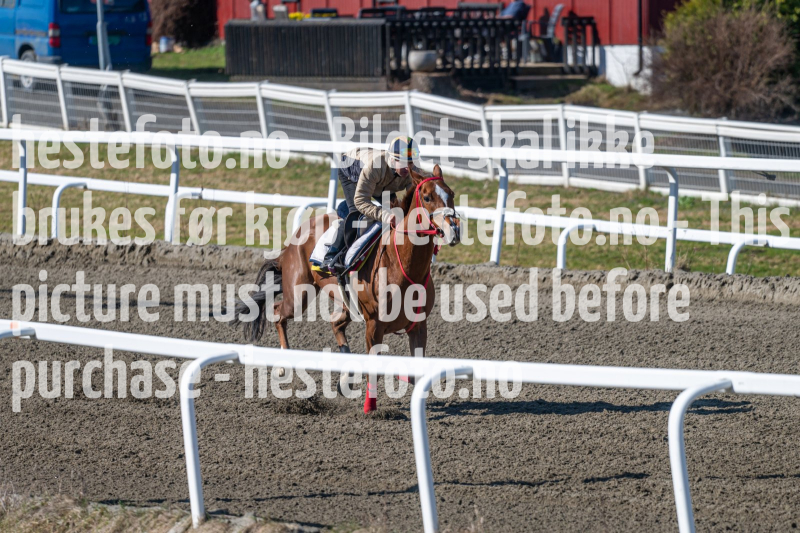 20240413-114717-DSC_2446