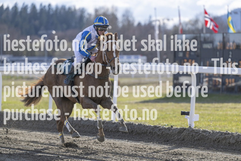 20240425-175432-DSC_1085