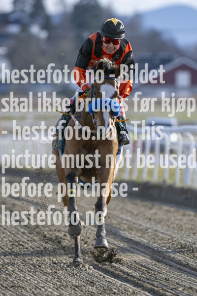 20240425-181707-DSC_1226