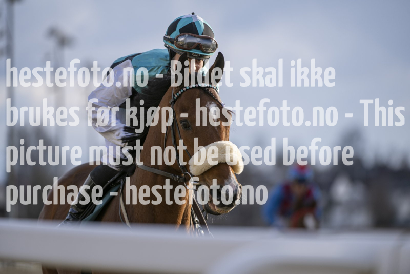 20240425-183639-DSC_1829
