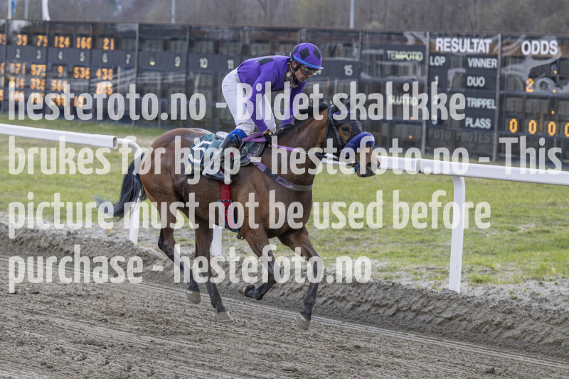 20240425-184403-DSC_2156