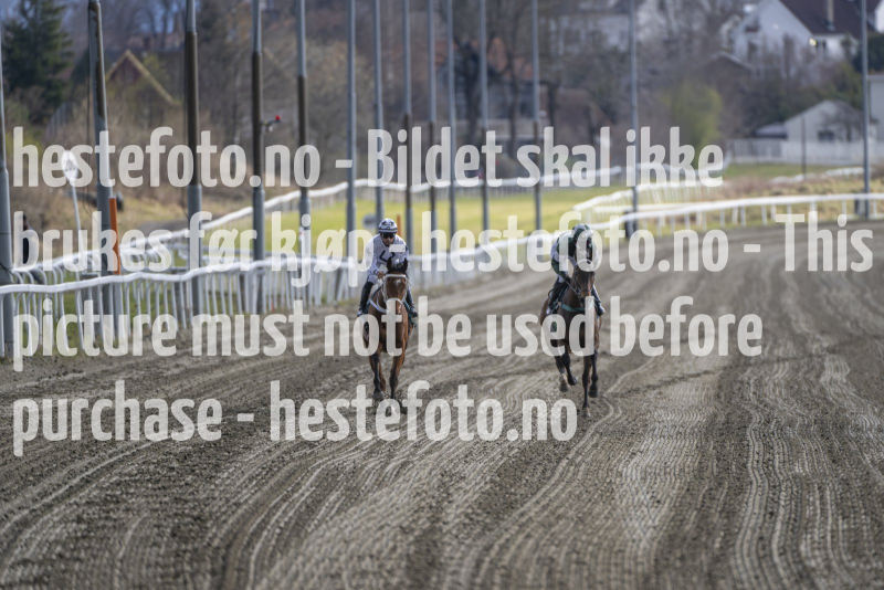 20240425-185919-DSC_2219