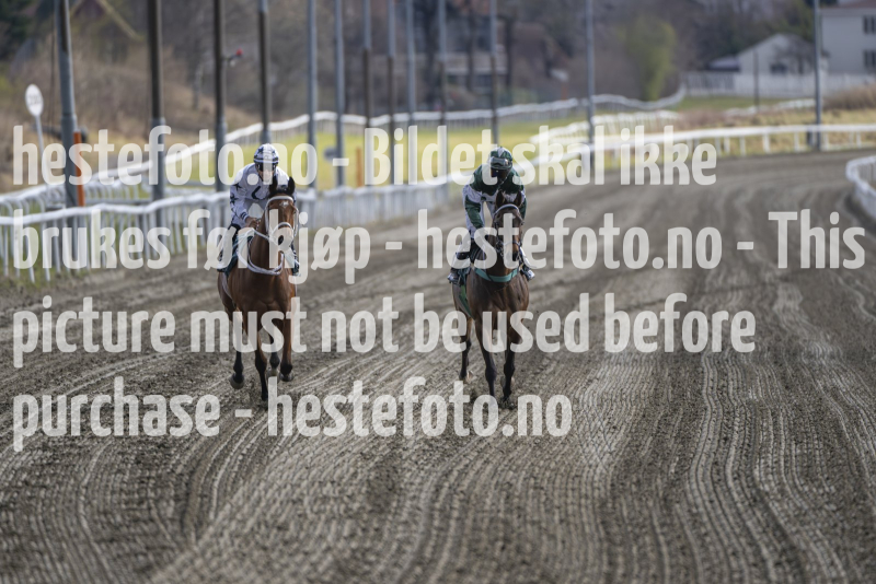 20240425-185922-DSC_2247