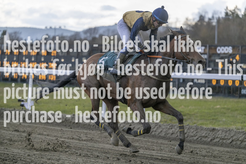 20240425-190716-DSC_2624