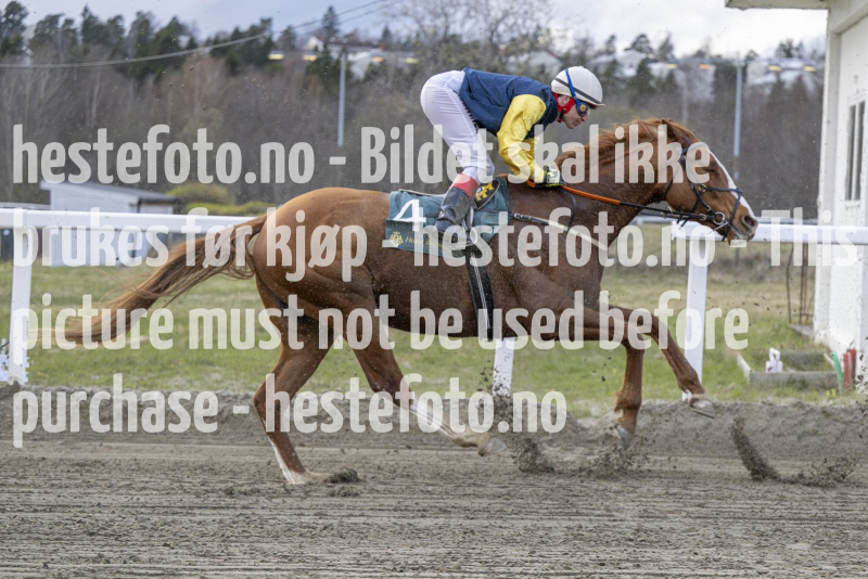 20240425-193852-DSC_2969