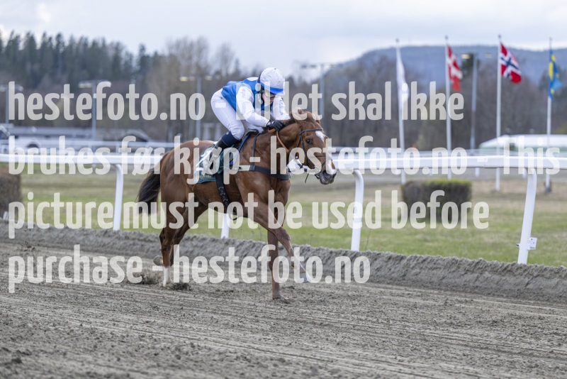 20240425-194017-DSC_3049