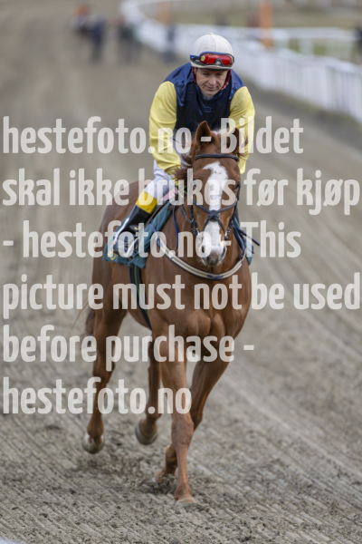 20240425-195516-DSC_3537