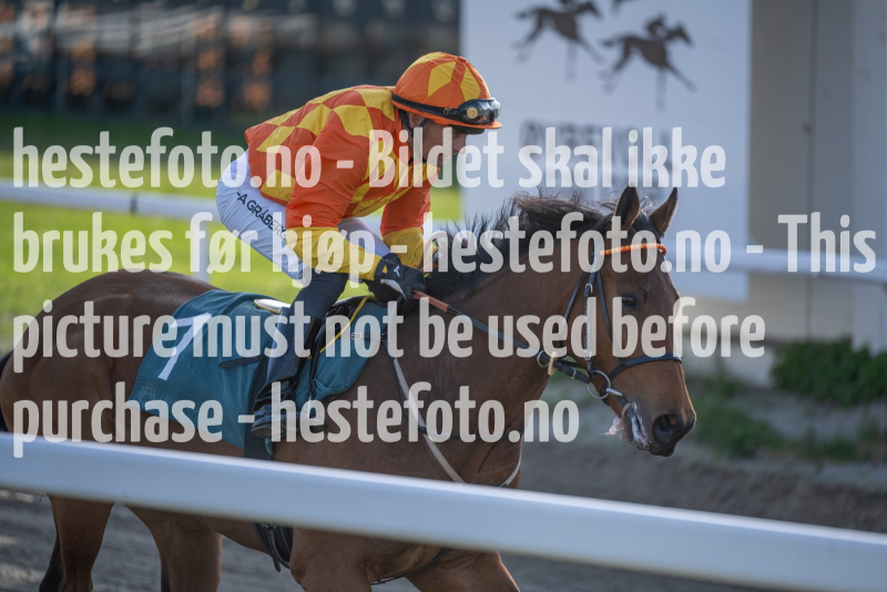 20240502-181200-DSC0661