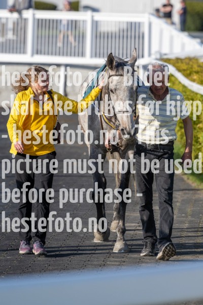 20240502-191743-DSC0988