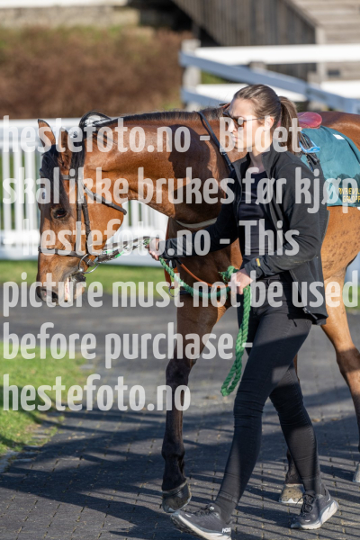 20240502-191606-DSC0977