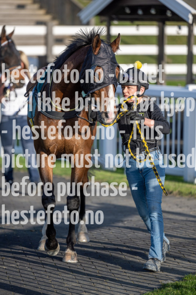 20240502-192335-DSC1134