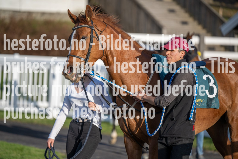 20240502-192220-DSC1111