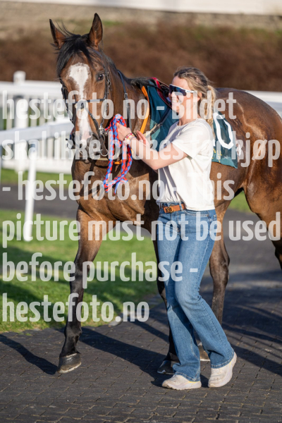 20240502-194748-DSC1330