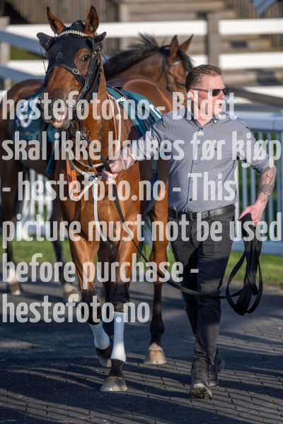 20240502-194854-DSC1375