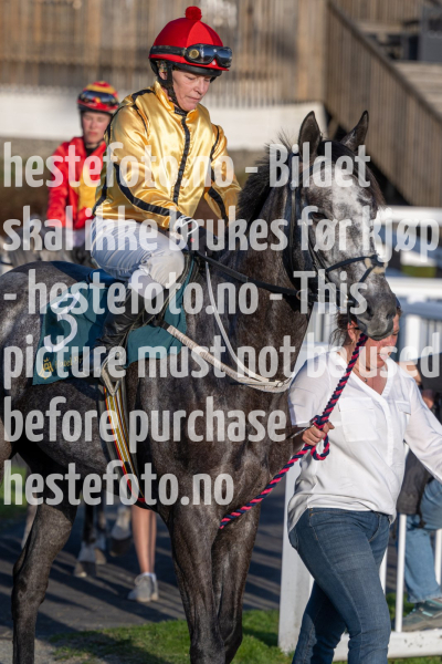 20240502-195058-DSC1418