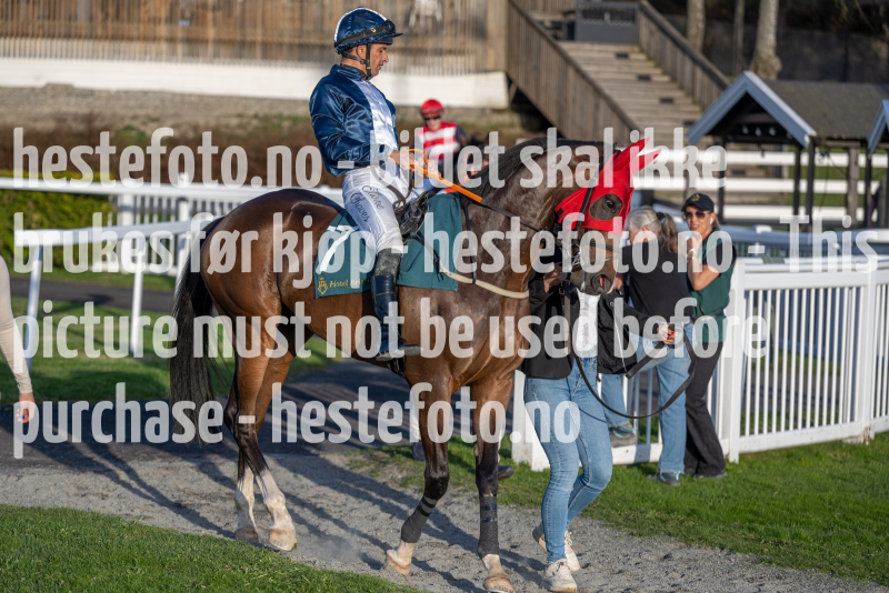 20240502-195123-DSC1431