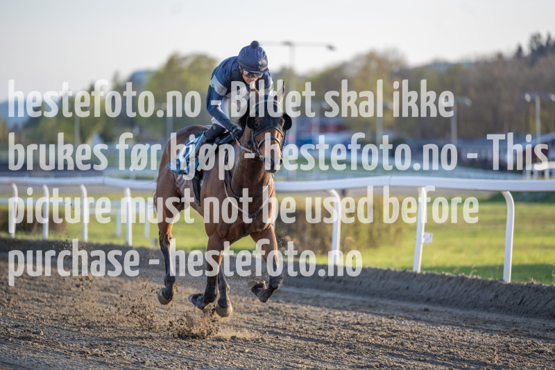 20240502-195934-DSC1463