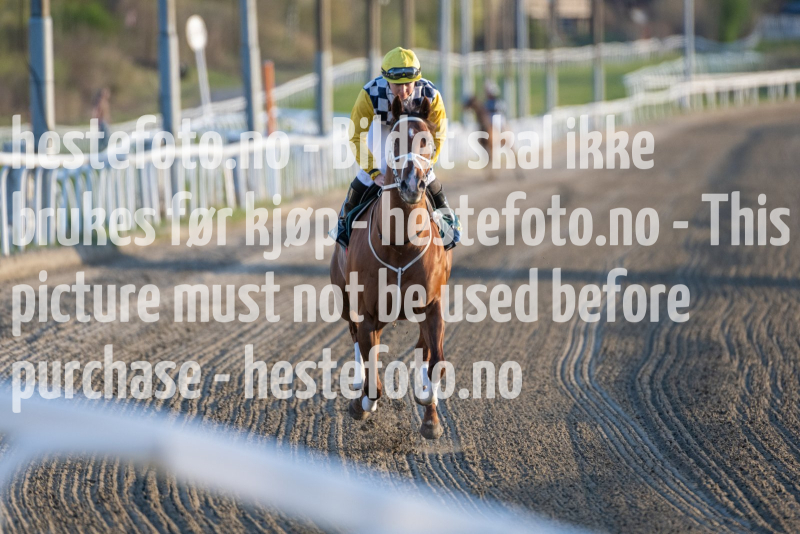 20240502-201808-DSC1482