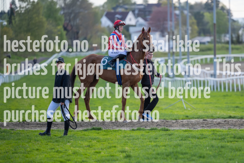 20240509-181052-DSC2063-Forbedret-NR
