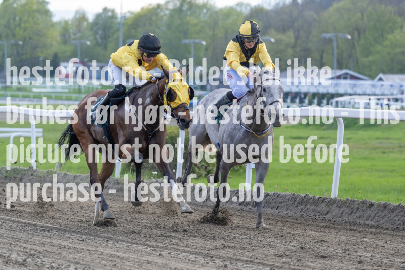 20240509-181819-DSC2084-Forbedret-NR