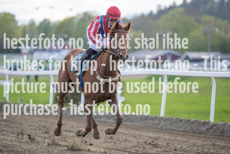 20240509-181829-DSC2104