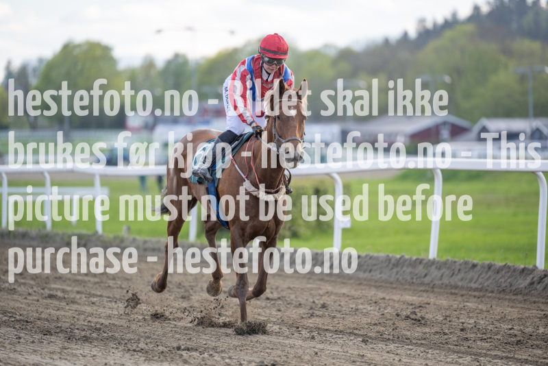 20240509-181829-DSC2103