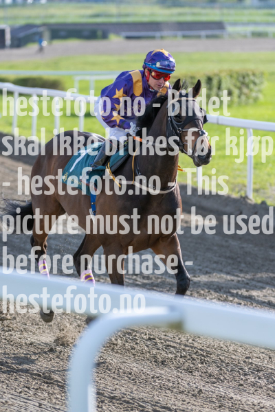 20240509-183535-DSC2125