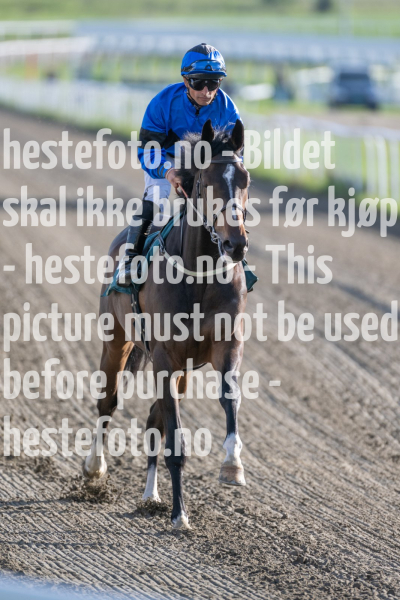 20240509-183556-DSC2163