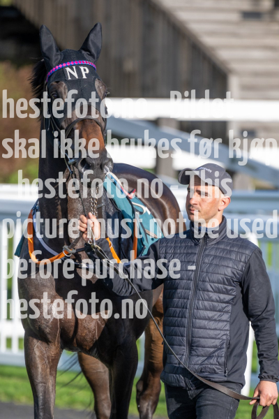20240509-185155-DSC2270